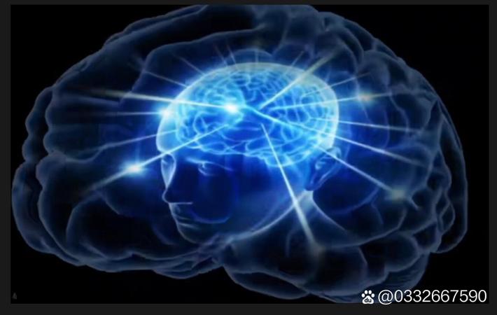 51黑料网 - 某顶流男星被曝与经纪人隐婚三年,女方已孕
